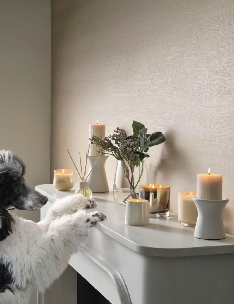 Bloomingville ILLUME Dyfuzor Zapachowy z Patyczkami 88,7 ml / Winter White