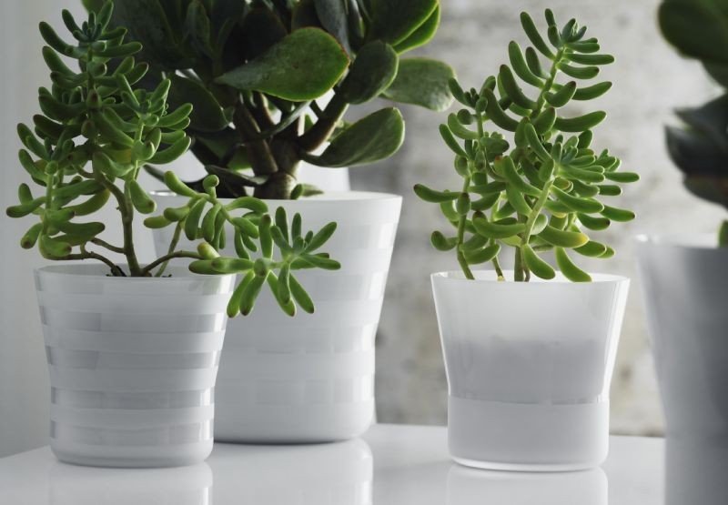 Holmegaard Flower Pot - Doniczka Biała 10,3 cm