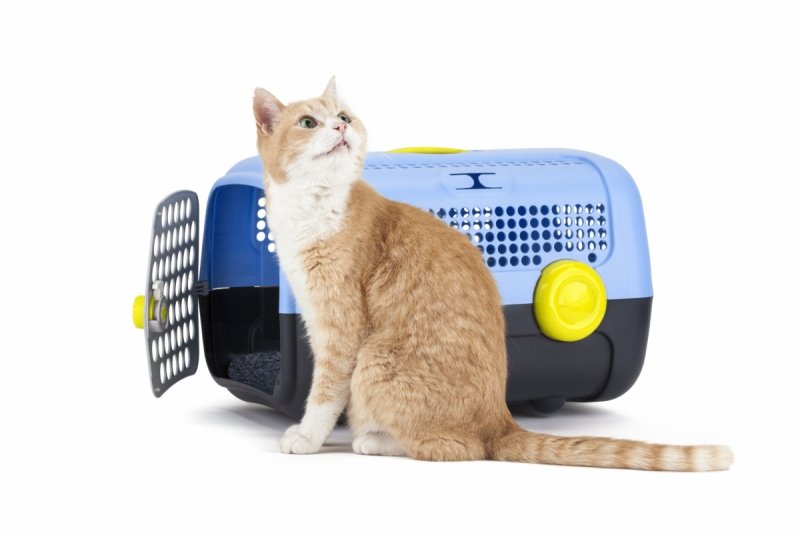 United Pets Milano A.U.T.O. Transporter dla Zwierząt / Niebieski