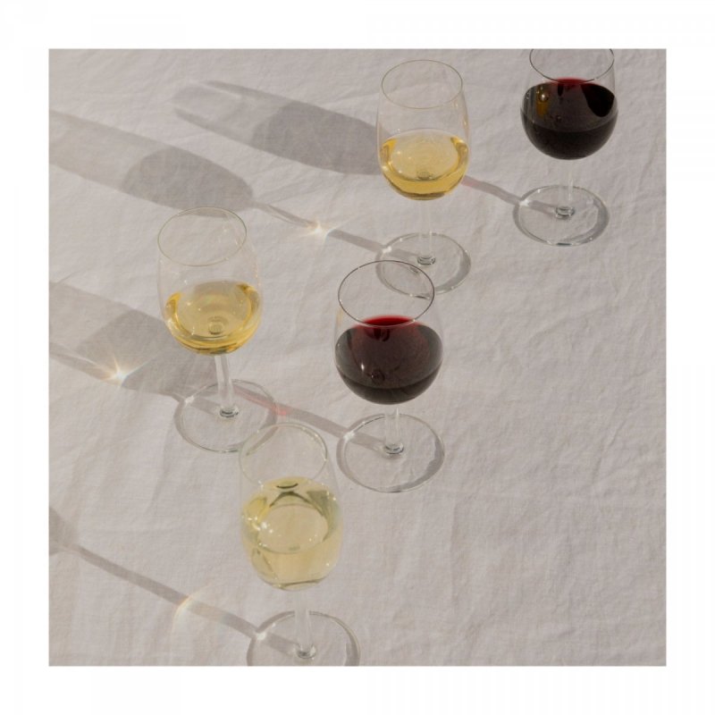 Iittala RAAMI Kieliszki do Szampana 240 ml 2 Szt.