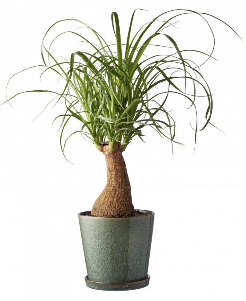 Bitz NORDIC Doniczka ze Spodkiem do Kwiatów - Ziół 14 cm / Zielona
