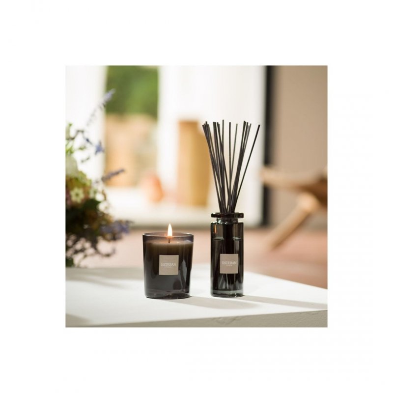 Esteban PARIS Dyfuzor Zapachowy z Patyczkami 100 ml / Zapach Ambre