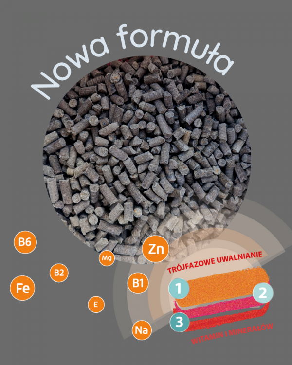 MEBIO Kieselgur MSM+WIT. C trójfazowe wsparcie aparatu ruchu 1 kg