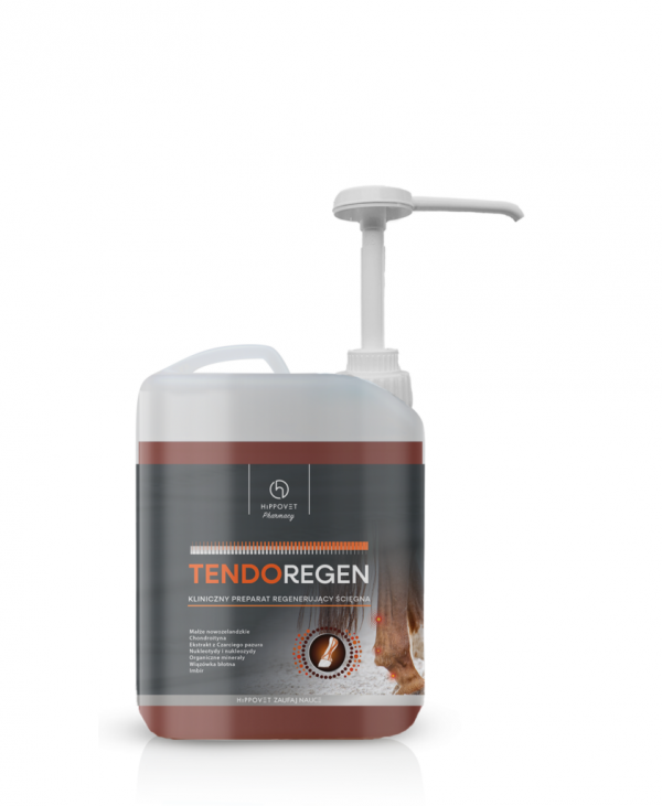 Hippovet Pharmacy TendoRegen – regeneracja i wzmocnienie ścięgien 2,5l
