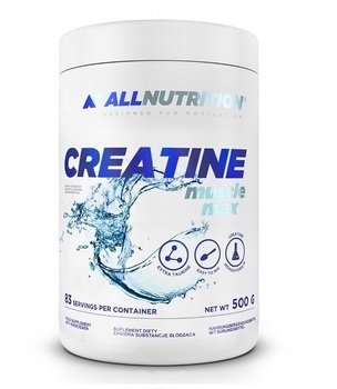 All Nutrition Creatine Muscle Max 500g Natural