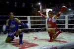 Sztuki walki: Muay Thai