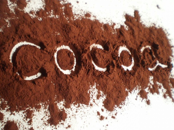 Kakao alkalizowane - zaw. tłuszczu 10-12% - prezentacja produktu