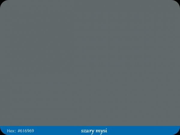 Kanten FIX RAL 7005 szary mysi Pisak retusz