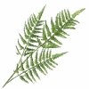 Gałązka Brokatowa Paproć Jasna Zieleń 80cm KR1617 [40szt]