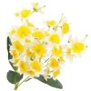 Żonkile Ecru-Żółte Bukiet Kwiatów I Liści [ 5 Sztuk ]