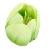 Główki Tulipan 12szt Zielony [ 30 Kompletów ]