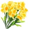 Bukiet Kwiatów Żonkile Żółty-Pomarańcz Podłużne Listki [ 5 Sztuk ]