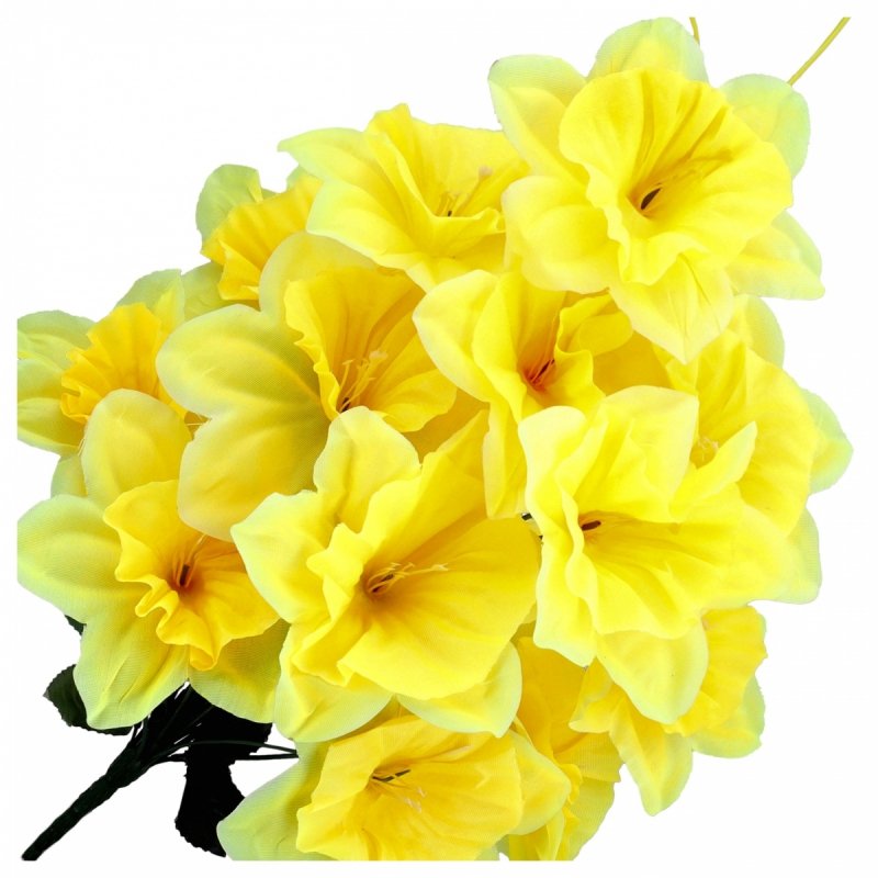 Żonkil Żółty KR2106 [10szt]