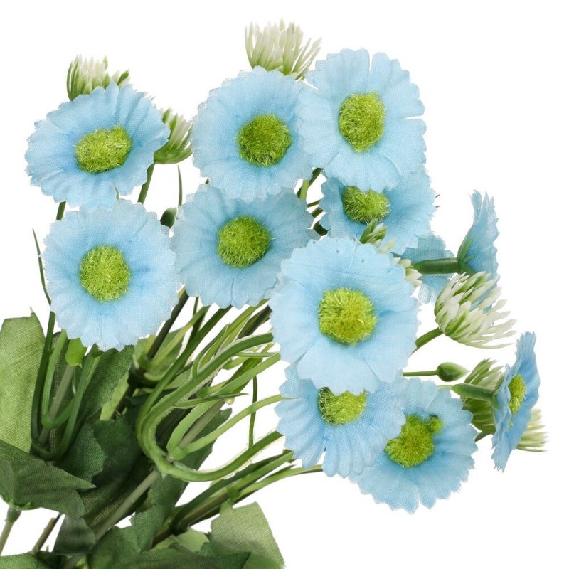 Bukiet Stokrotka Błękitne Kwiatki [ 200szt ]