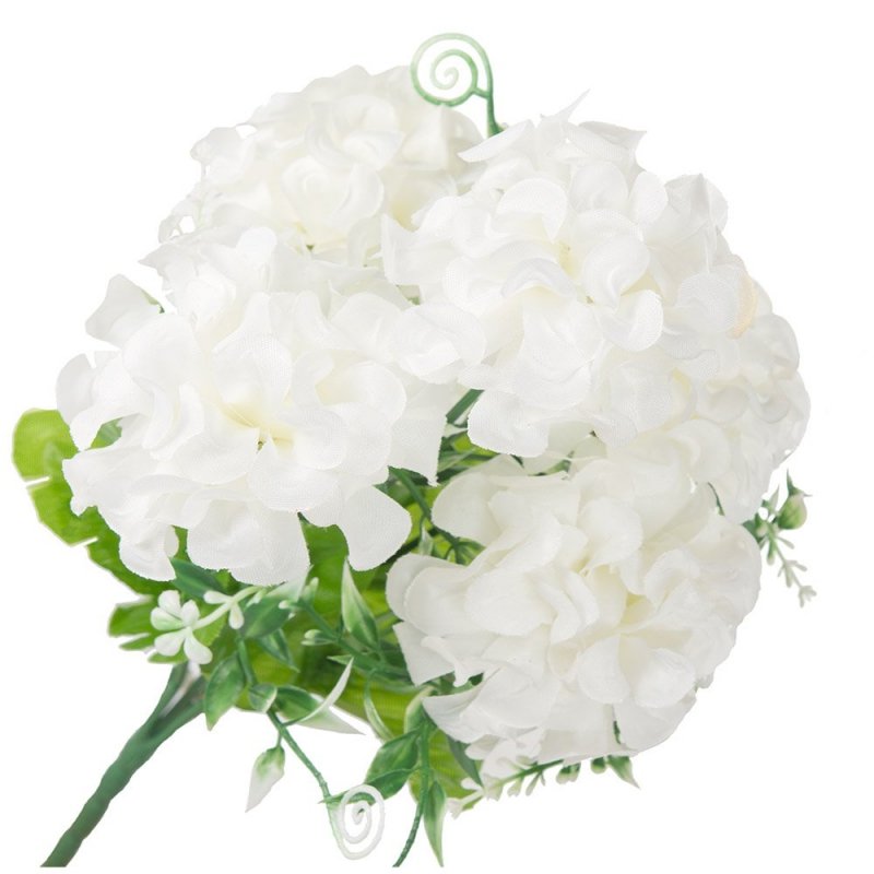 Hortensja Bukiet Białych Kwiatów [ 200szt ]
