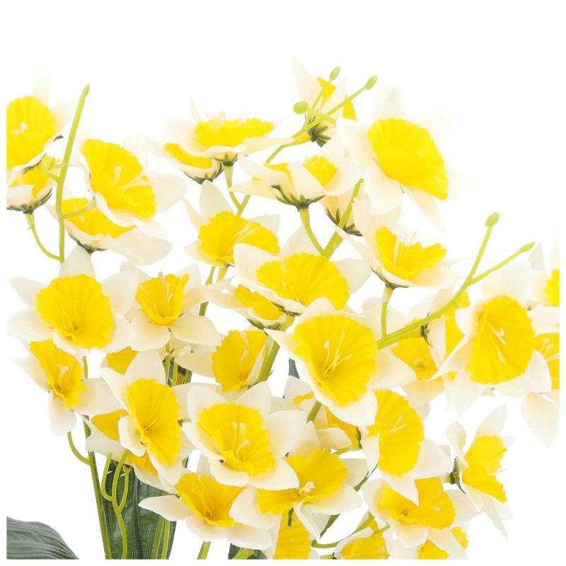 Żonkile Ecru-Żółte Bukiet Kwiatów I Liści [ 5 Sztuk ]