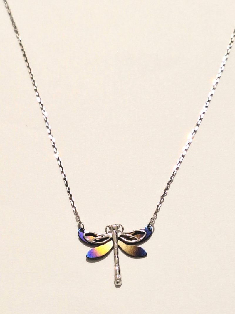 NASZYJNIK TYTAN I SREBRO 925 WAŻKA KOLOROWA