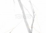 VILO - Panele ścienne SPC Calacatta White połysk 60x120