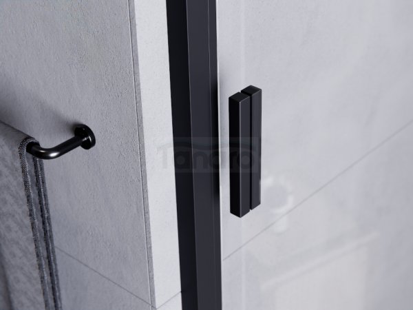 BESCO Drzwi prysznicowe przesuwne Zarya Black 120 DZB-120