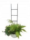 PODPORA PODPÓRKA drabinka 40 cm  fi6 DO ROŚLIN KWIATÓW 06