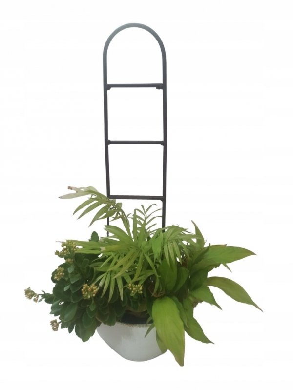 PODPORA PODPÓRKA drabinka 40 cm  fi6 DO ROŚLIN KWIATÓW 06