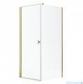 Radaway Nes Kdj I Gold kabina 100x80cm lewa złoty połysk 10022100-09-01L/10039080-01-01