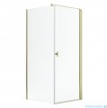 Radaway Nes Kdj I Gold kabina 100x100cm prawa złoty połysk 10022100-09-01R/10039100-01-01
