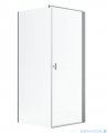 Radaway Nes Kdj I Brushed Nickel kabina 100x100cm prawa szczotkowany nikiel 10022100-91-01R/10039100-01-01