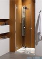 Carena DWB Radaway Drzwi prysznicowe 70 lewe szkło przejrzyste 34582-01-01NL