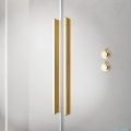 Radaway Furo Gold SL kabina Walk-in 100x200cm prawa złoty połysk/szkło przejrzyste 10306538-09-01R/10110494-01-01