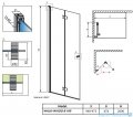 Radaway Nes 8 Black KDD B kabina walk in 100cm lewa czarny mat/szkło przejrzyste 10074100-54-01L