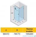 Riho Scandic NXT X201 kabina prysznicowa lewa 100x90cm czarna G001045121