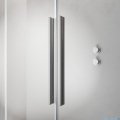 Radaway Furo SL Brushed Nickel kabina Walk-in 100x200cm lewa szczotkowany nikiel 10306538-91-01L/10110494-01-01