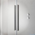 Radaway Furo Brushed Nickel DWJ drzwi prysznicowe 160cm lewe szczotkowany nikiel 10107822-91-01L/10110780-01-01