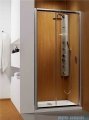 Radaway Premium Plus DWJ Drzwi wnękowe 120 szkło przejrzyste