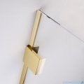 Radaway Essenza Pro 8 Gold 125x200 kabina Walk-in złoty połysk/szkło przejrzyste 1012125-09-01