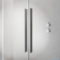 Radaway Furo Brushed Nickel DWJ drzwi prysznicowe 140cm lewe szczotkowany nikiel 10107722-91-01L/10110680-01-01