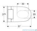 Geberit urządzenie WC z funkcją higieny intymnej AquaClean Tuma Comfort, wisząca miska WC biała/szkło czarne 146.292.SJ.1