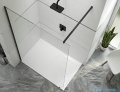 Sanplast Altus PIII/ALTIIa kabina walk-in 160x213 cm czarny matowy 600-121-3001-59-401