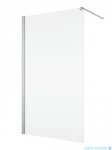 Ronal ANNEA ANT1 Ścianka wolnostojąca Walk-in 100x200 cm z profilem przyściennym srebrny połysk ANT110005007