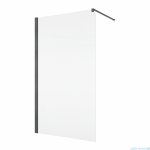 Ronal ANNEA ANT1 Gunmetal Szczotkowany Ścianka wolnostojąca Walk-in 80x200 cm z profilem przyściennym grafit szczotkowany ANT108002607