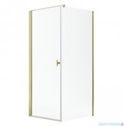Radaway Nes Kdj I Gold kabina 100x80cm lewa złoty połysk 10022100-09-01L/10039080-01-01