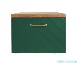 Besco Floo szafka podumywalkowa lewa 80x50x40cm zielona, uchwyt złoty SUF-854-ZZL