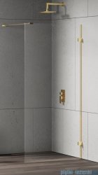 New Trendy Eventa Gold Shine kabina walk-in 60x200 cm przejrzyste Złoty połysk EXK-4837