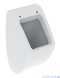 Geberit Pareo pisuar wiszący biały KeraTect 236100600