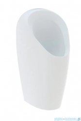 Geberit Selva pisuar wiszący bezwodny 116.081.00.1