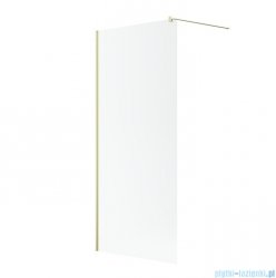 Radaway Modo New II Brushed Light Gold kabina Walk-in 100x200 szczotkowane jasne złoto szkło przejrzyste 389104-98-01