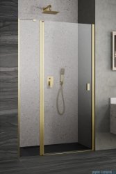 Radaway Nes Dwj II Brushed Gold drzwi wnękowe 120cm lewe szczotkowane złoto 10036120-99-01L