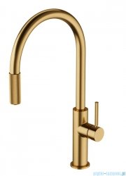 Omnires Switch bateria kuchenna z wyciąganą wylewką do podłączenia zestawu filtrującego złoty szczotkowany SW9059GLB