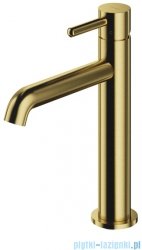 Omnires Y bateria umywalkowa 23 cm mosiądz szczotkowany Y1212CBSB